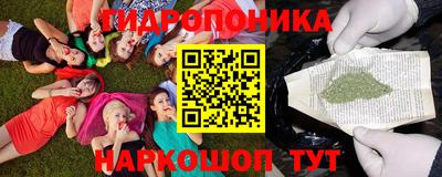 гашик Ливны