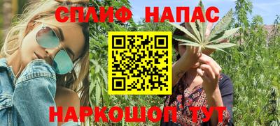 гашик Ливны