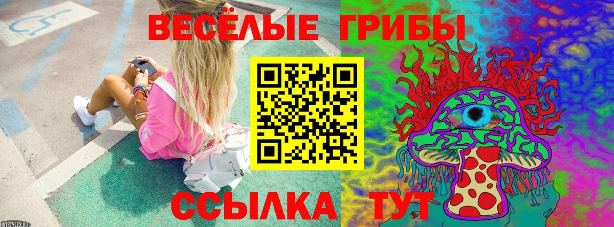 Псилоцибиновые грибы GOLDEN TEACHER Иваново